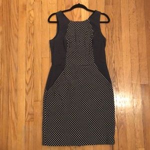 Banana Republic Navy and White Polka Dot Dress